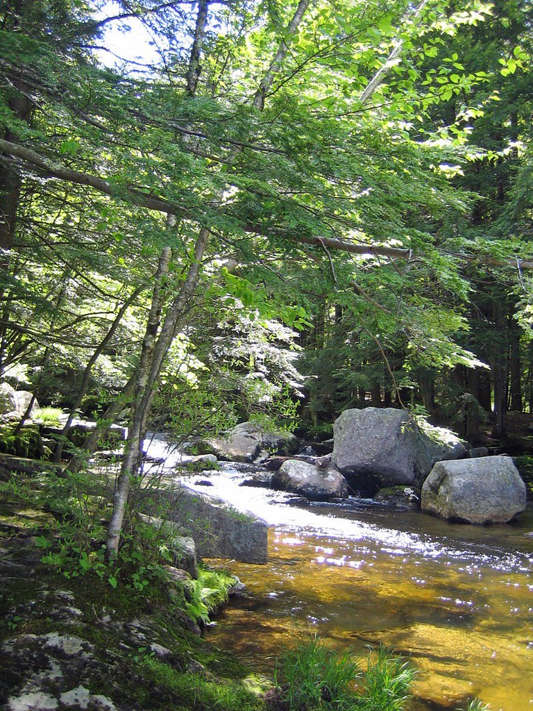 Glendale Falls waterfall