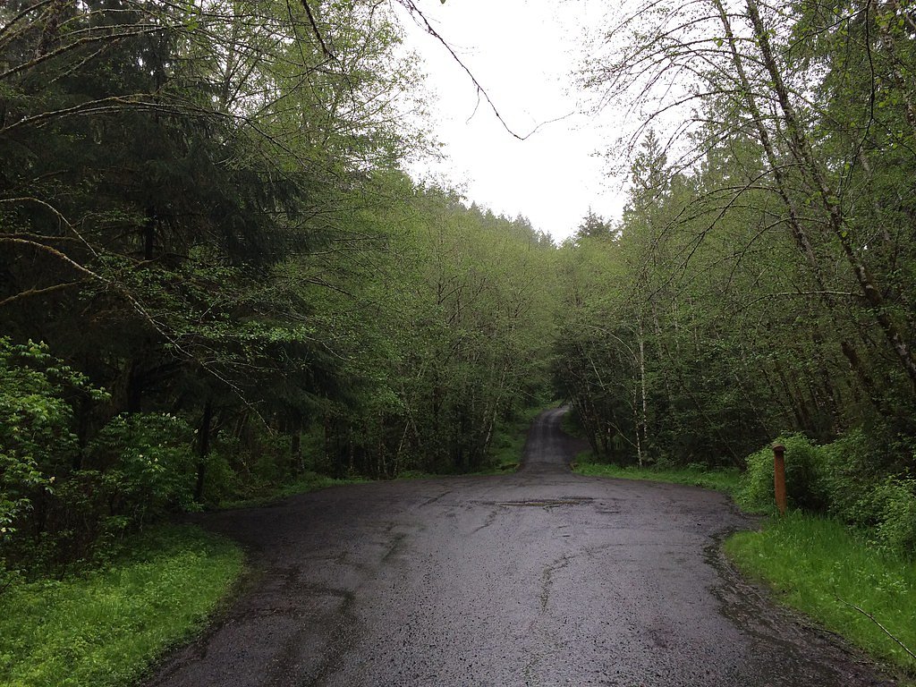 Gnat Creek Falls waterfall