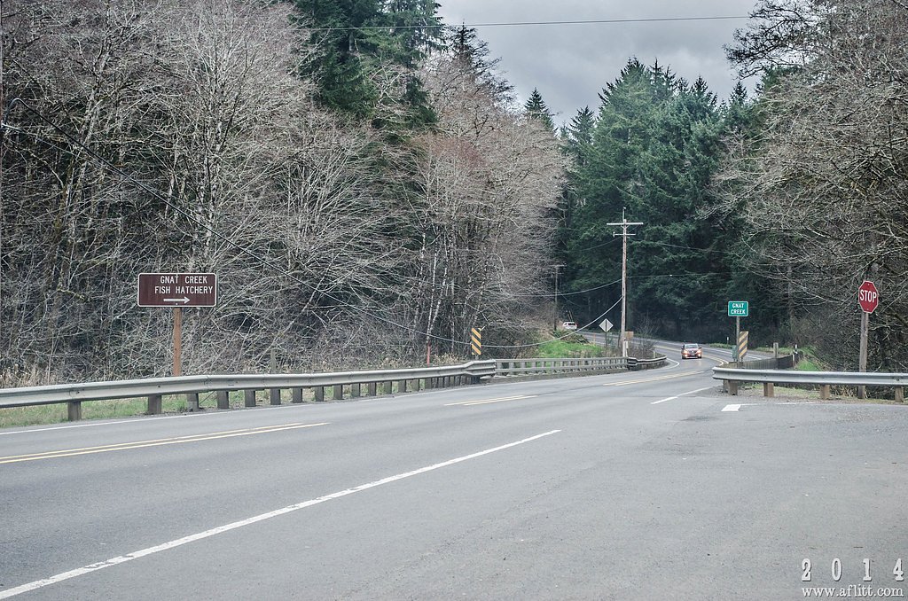 Gnat Creek Falls waterfall