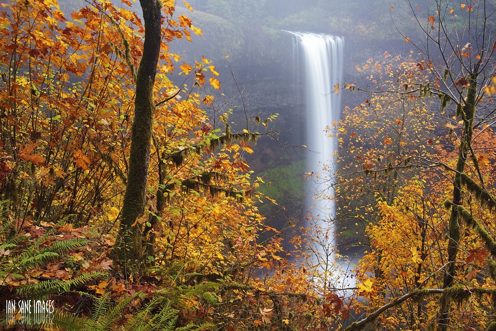 Golden Falls waterfall