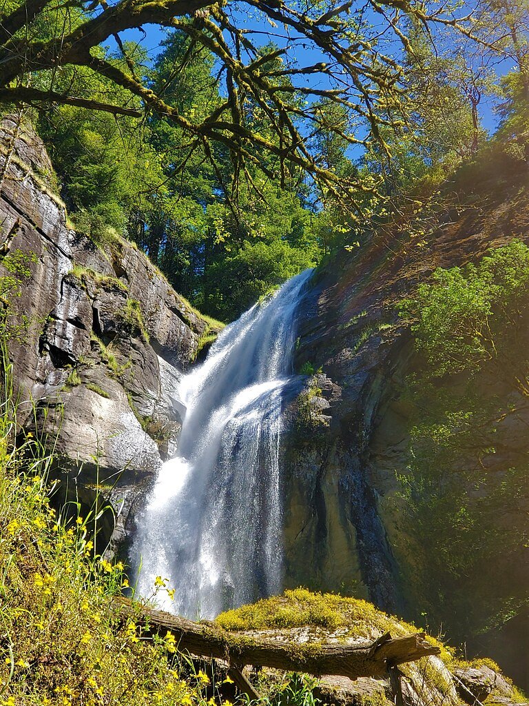 Golden Falls waterfall