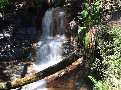 Golden Falls
