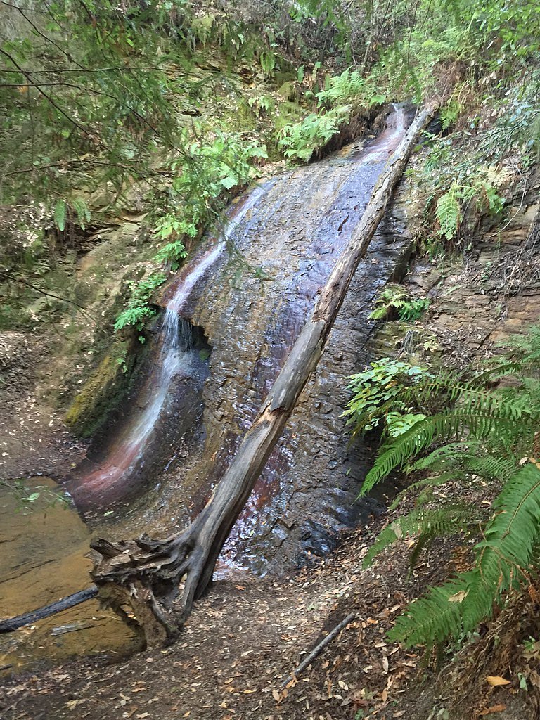 Golden Falls waterfall