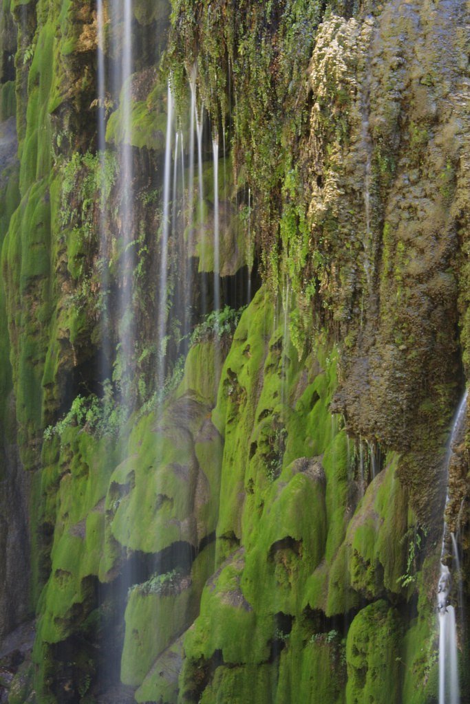 Gorman Falls waterfall