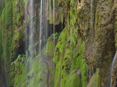 Gorman Falls