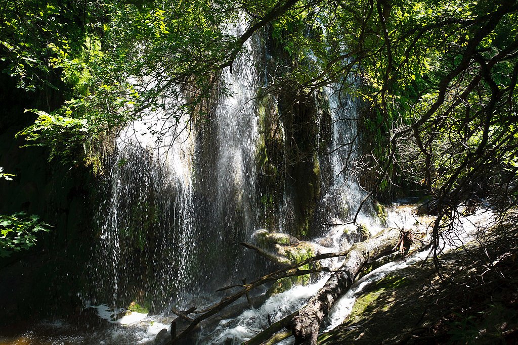 Gorman Falls waterfall