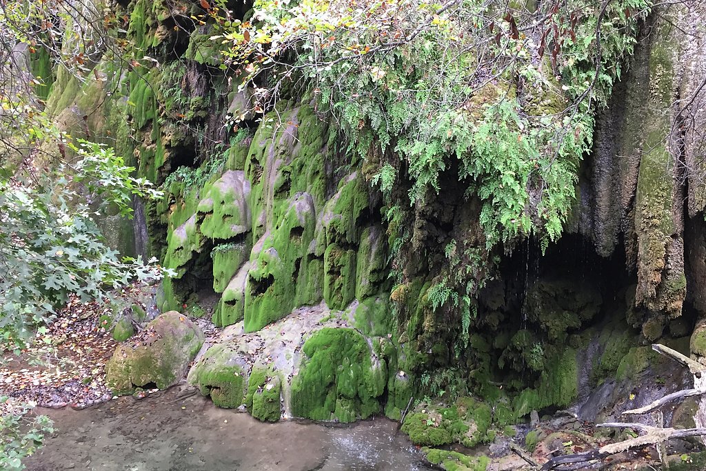 Gorman Falls waterfall