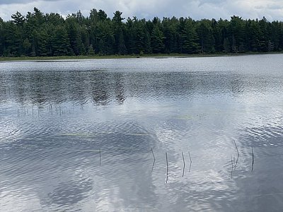 Grand Falls, ME
