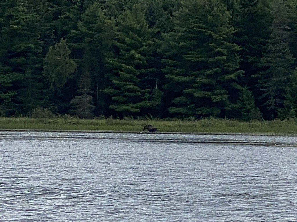 Grand Falls waterfall