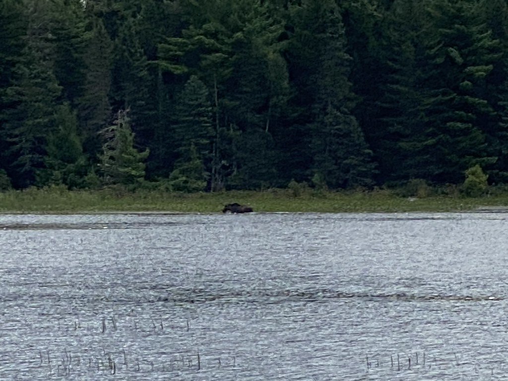 Grand Falls waterfall