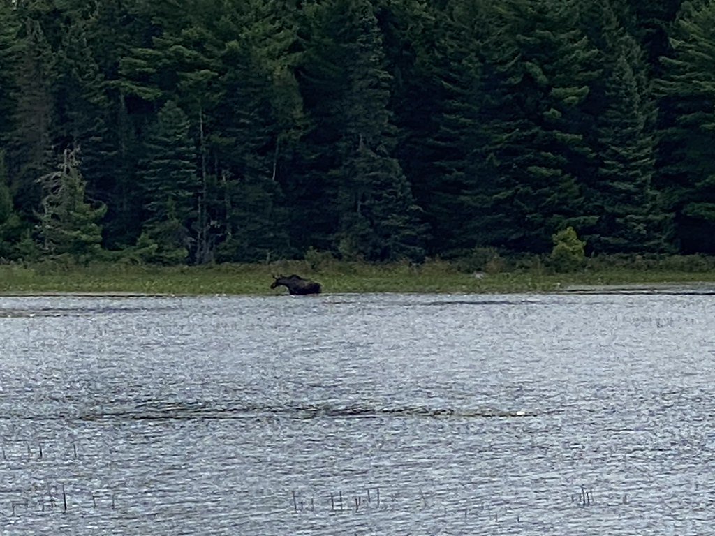 Grand Falls waterfall