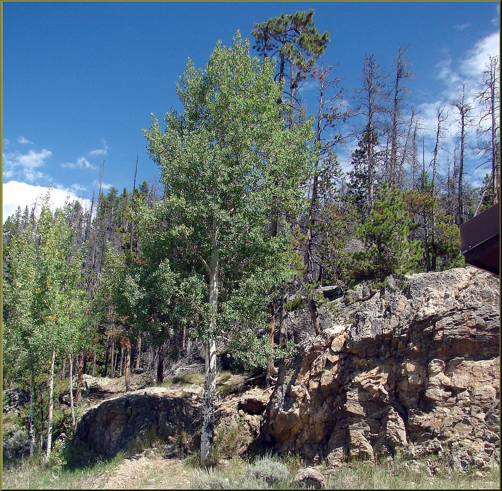 Granite Falls waterfall