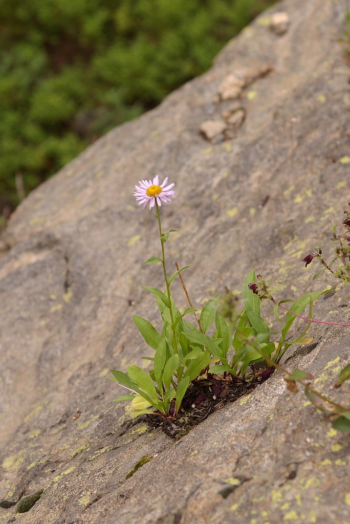 Granite Falls waterfall
