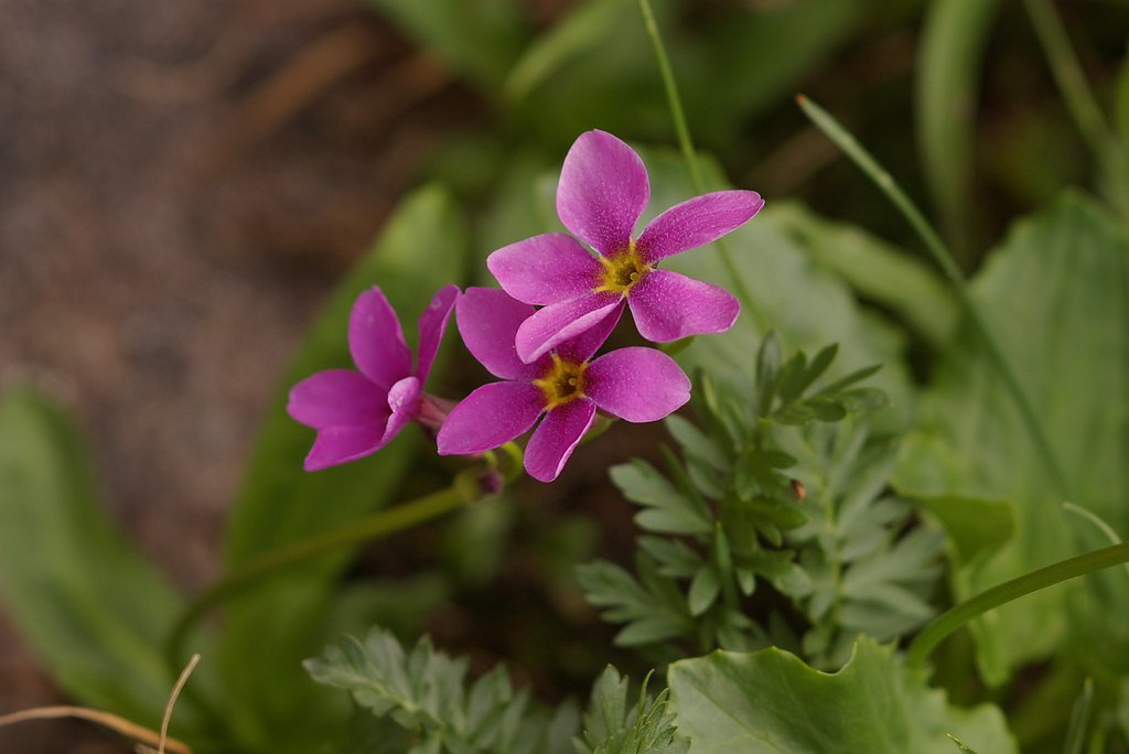 Granite Falls waterfall