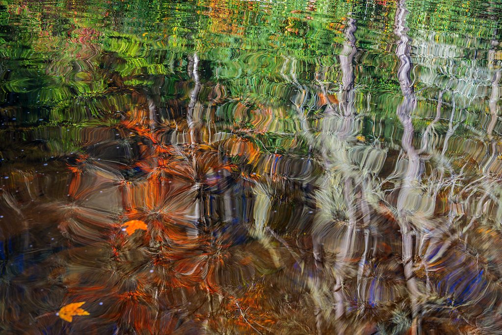 Grassy Creek Falls waterfall