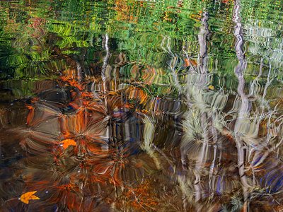 Grassy Creek Falls