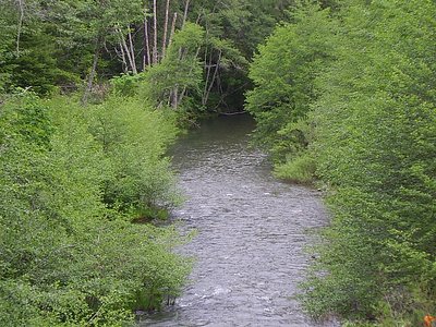 Grave Creek Falls