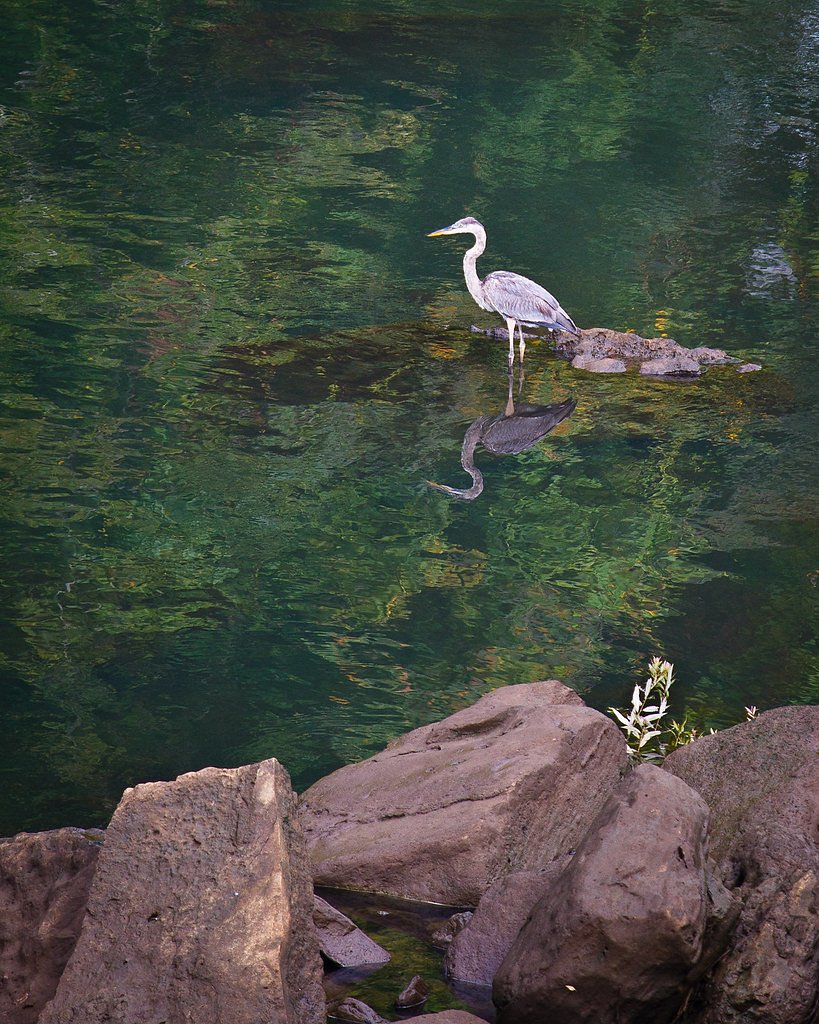 Great Falls waterfall