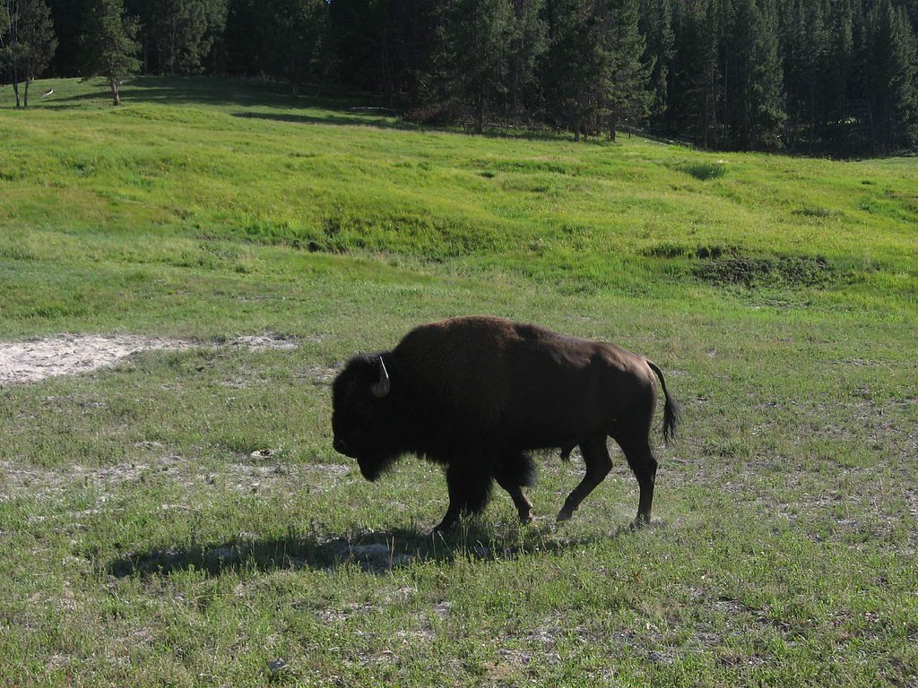 Great Falls of Catawba waterfall