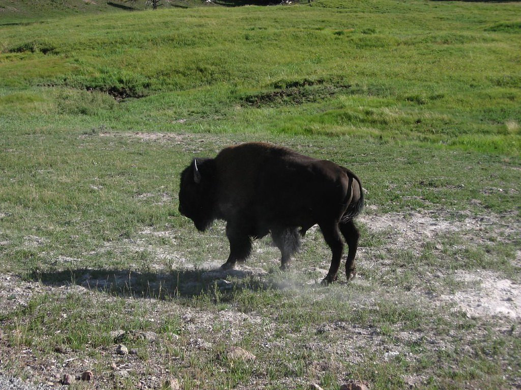 Great Falls of Catawba waterfall
