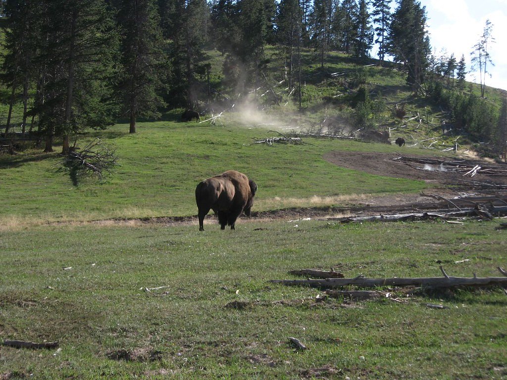 Great Falls of Catawba waterfall