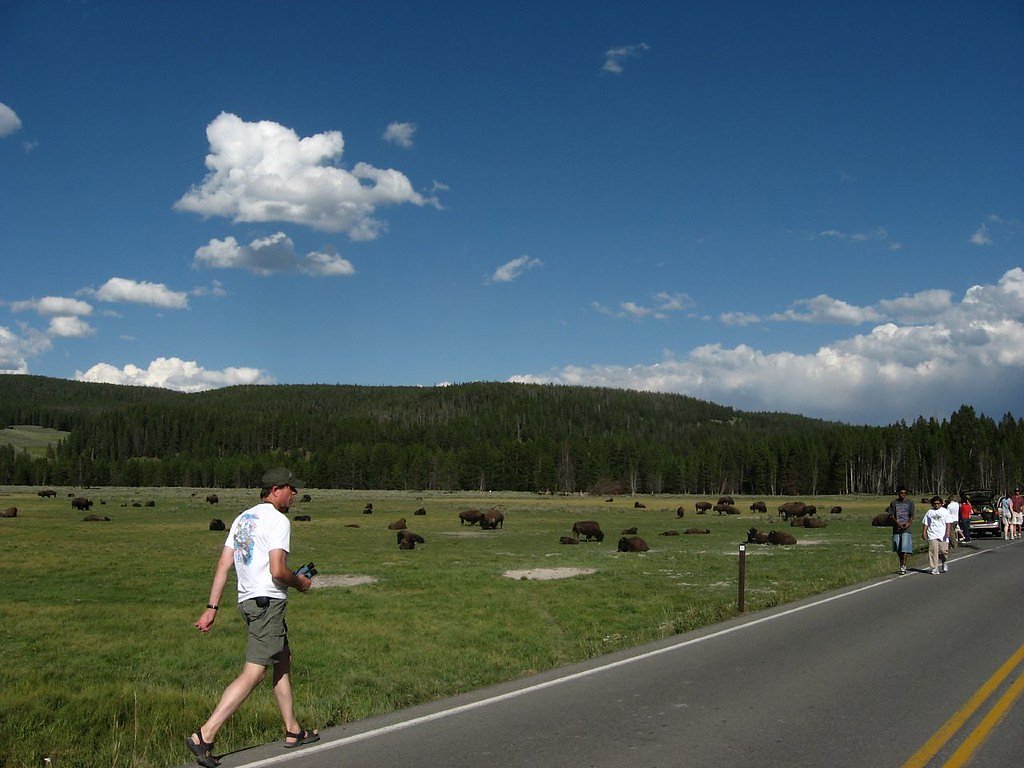 Great Falls of Catawba waterfall