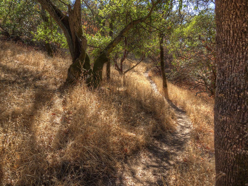 Green Valley Falls waterfall