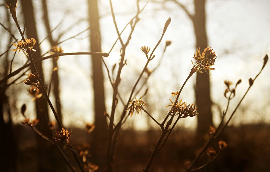 Greenville Falls waterfall