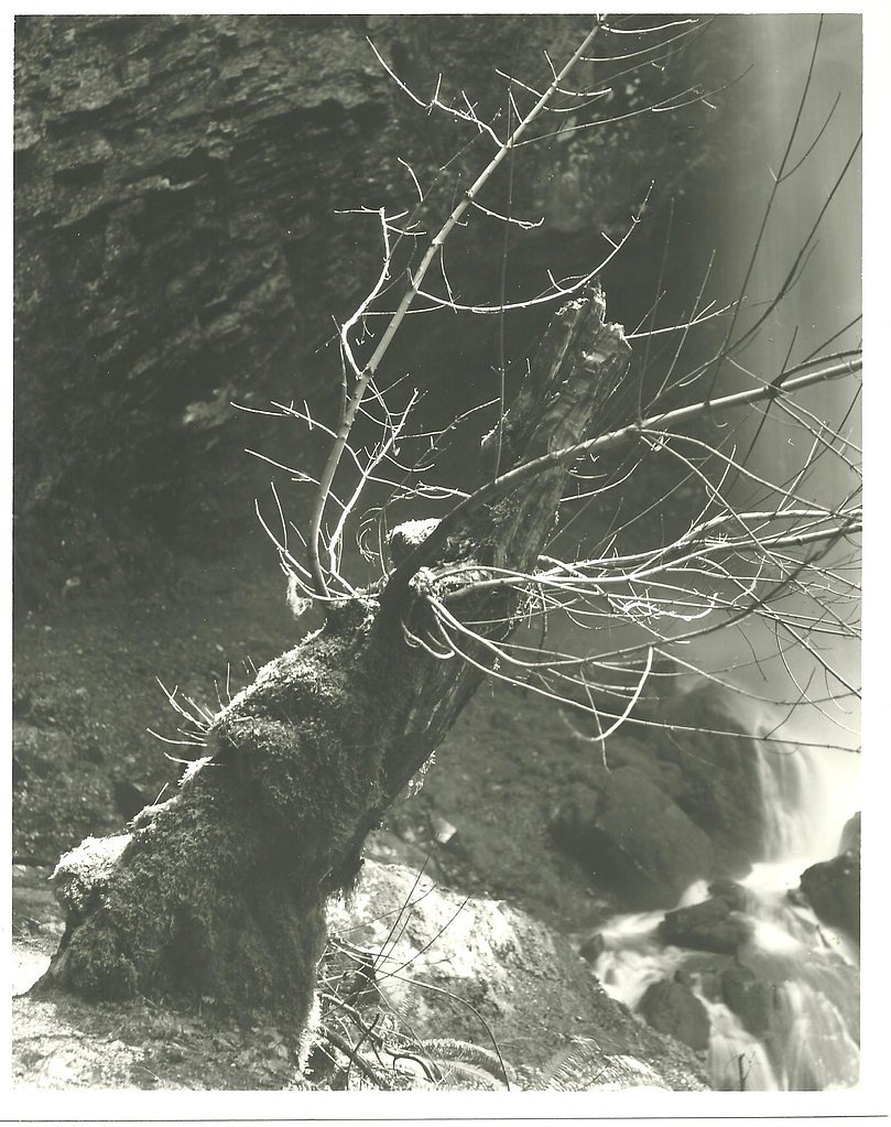 Grotto Falls waterfall