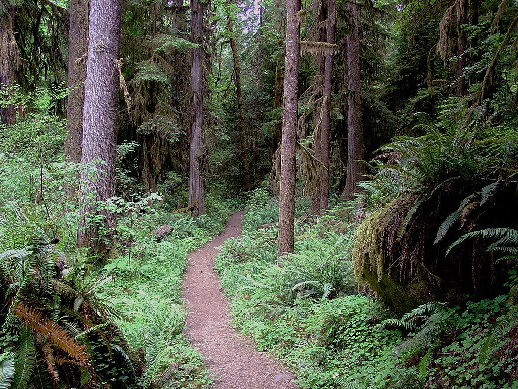 Grotto Falls waterfall