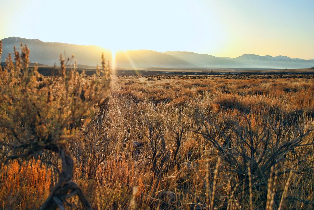 Grouse Creek Falls waterfall