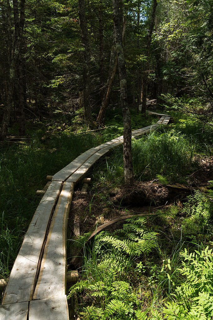 Hadlock Falls waterfall
