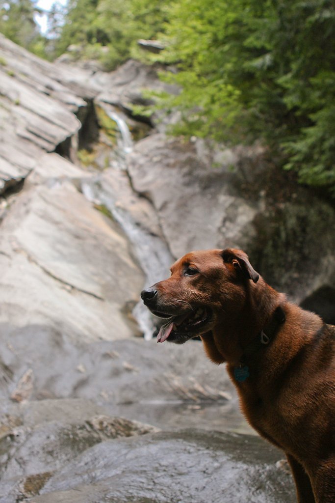 Hamilton Falls waterfall