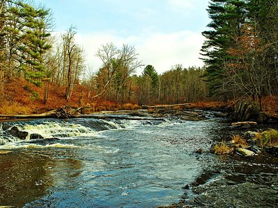 Hamilton Falls, WI