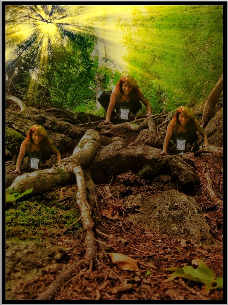 Hamilton Falls waterfall