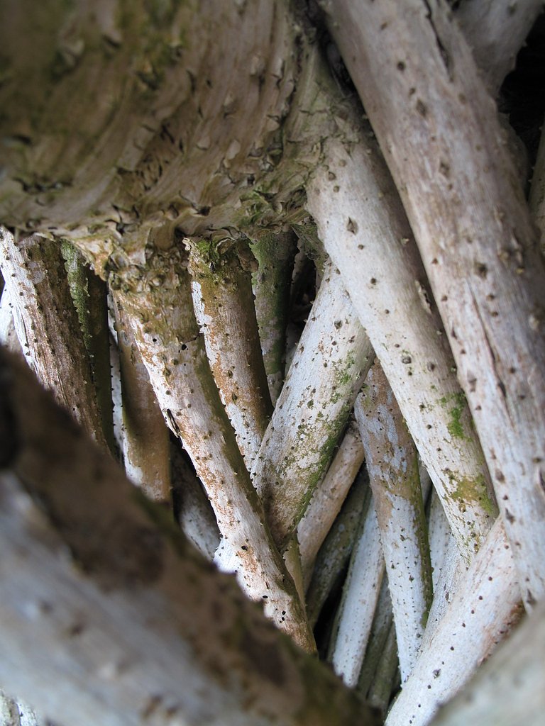 Hanakāpīʻai Falls waterfall