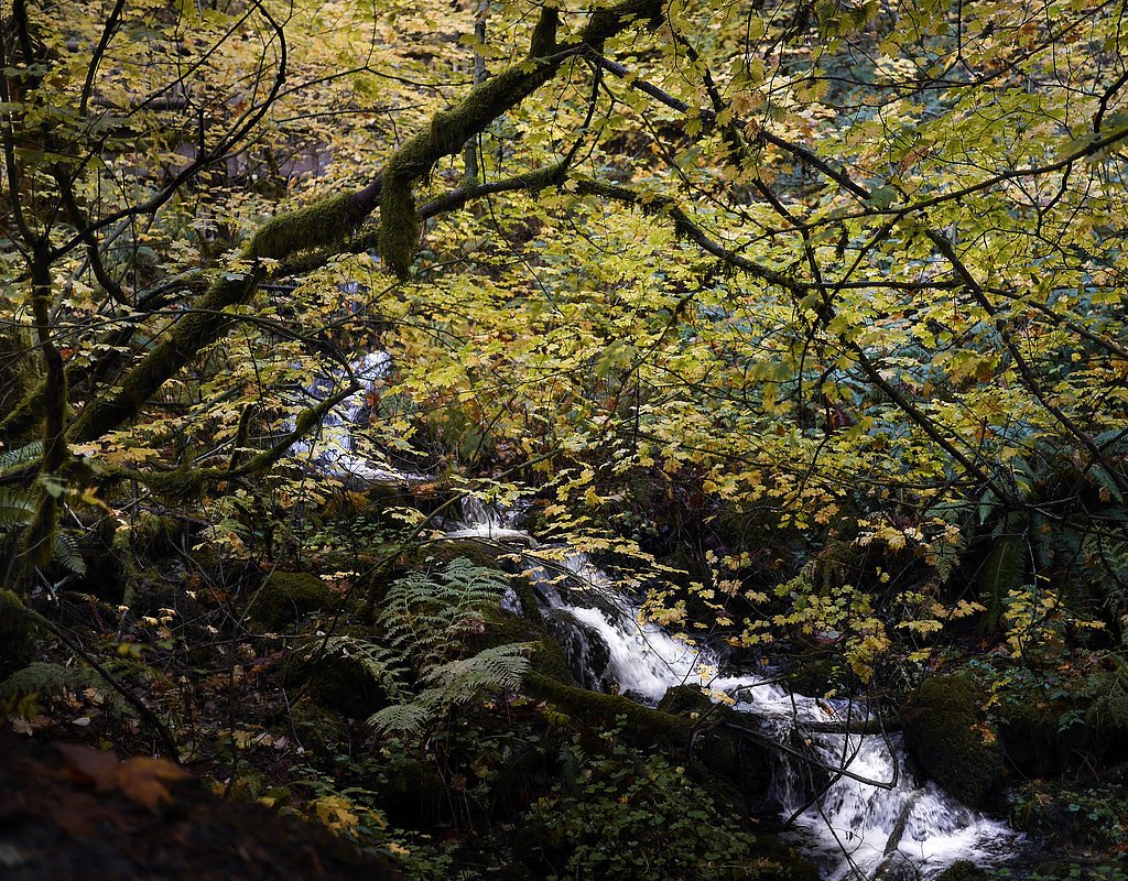 Hardy Falls waterfall