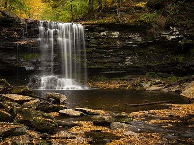 Harrison Wright Falls, PA
