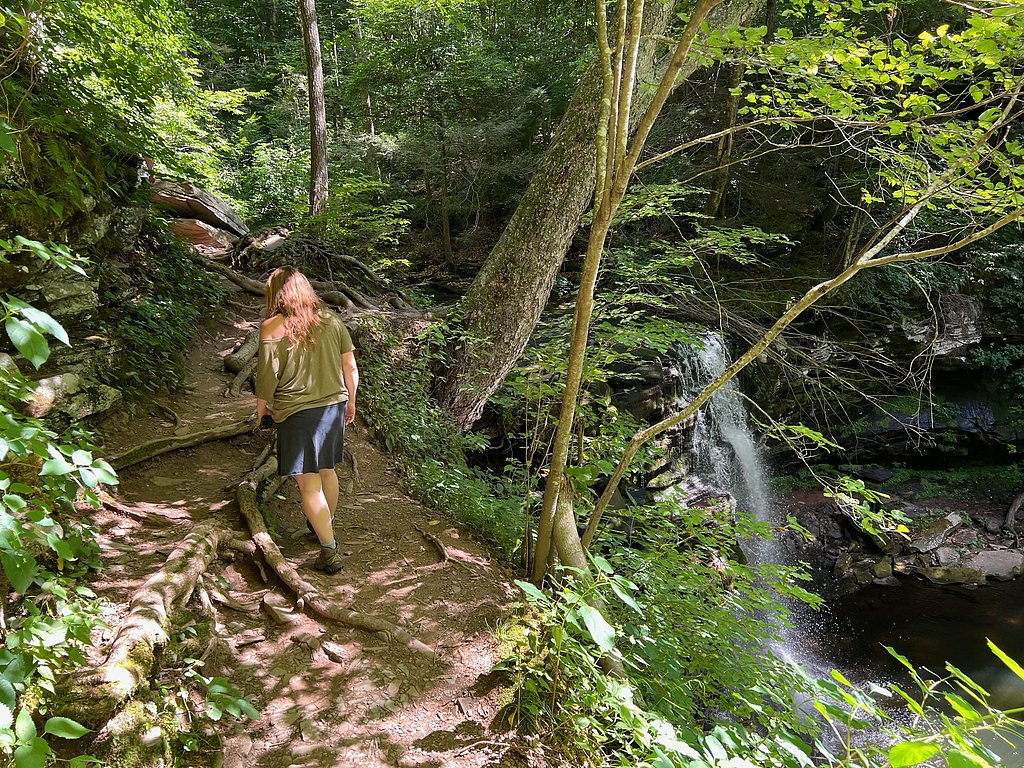 Harrison Wright Falls waterfall