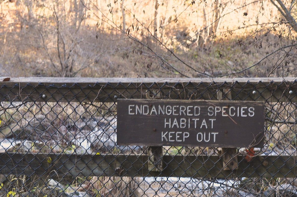 Harts Falls waterfall
