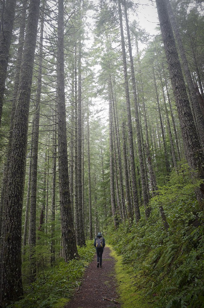 Henline Falls waterfall