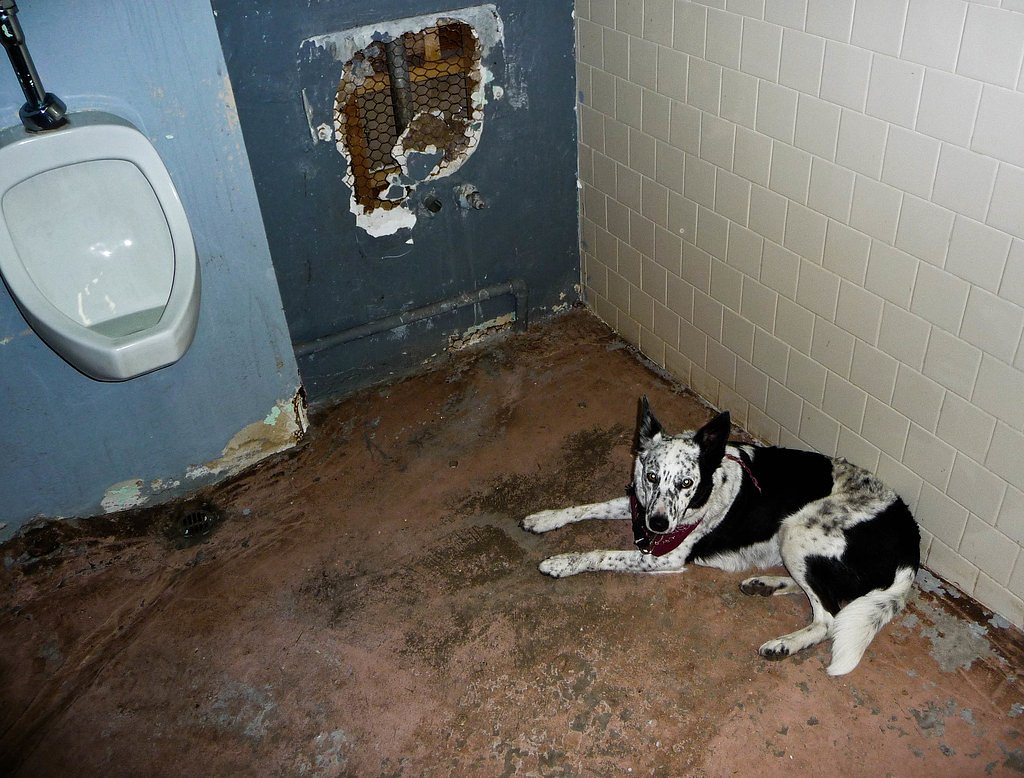 Henrys Falls waterfall