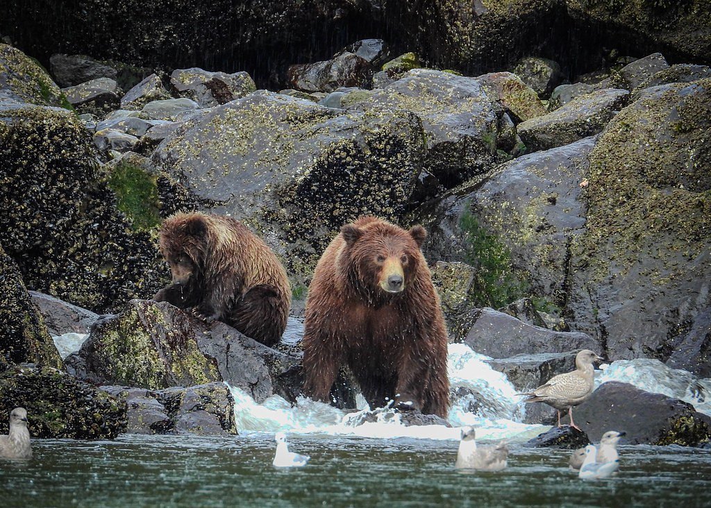 Hidden Falls waterfall