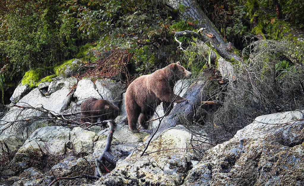 Hidden Falls waterfall