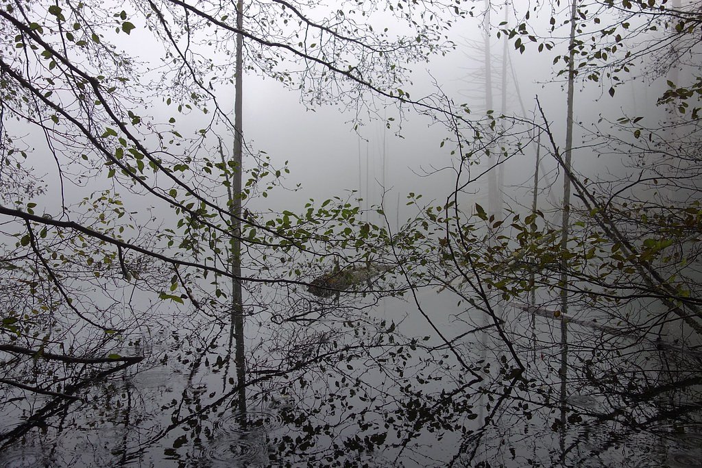 Hidden Falls waterfall