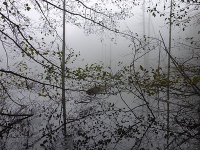 Hidden Falls