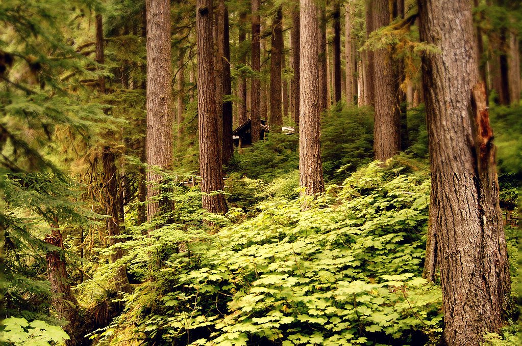 Hidden Falls waterfall