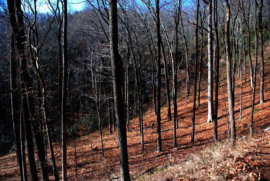 Hidden Falls waterfall
