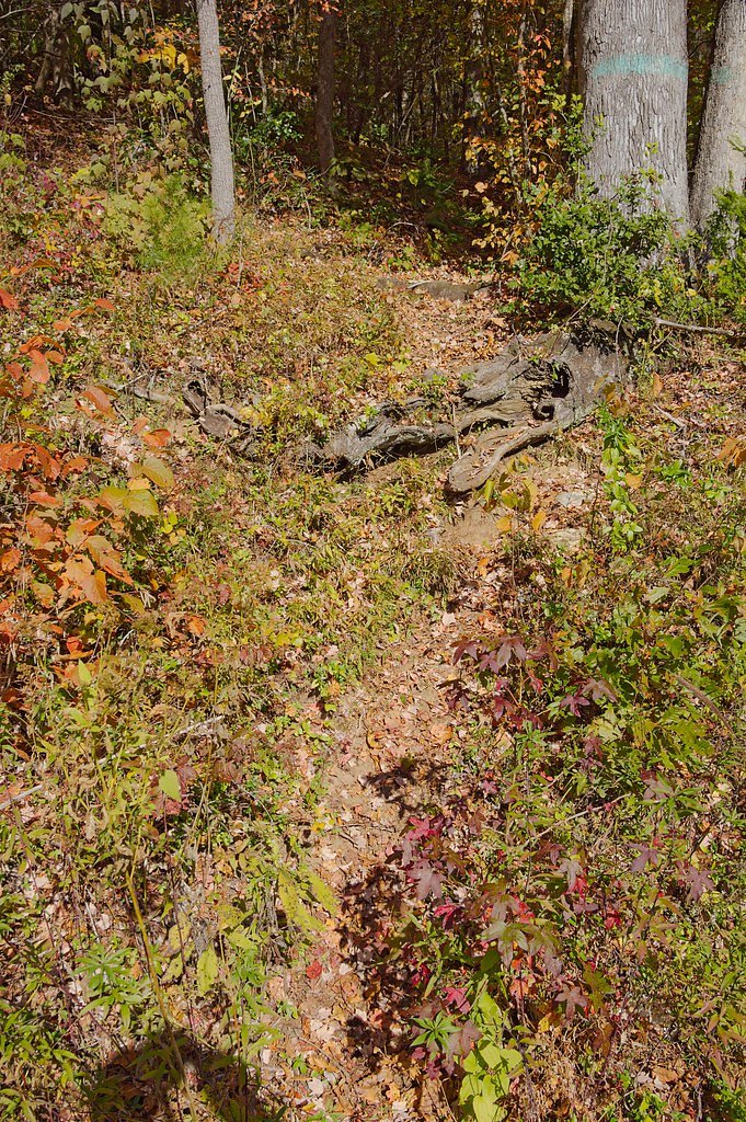 Hidden Falls waterfall