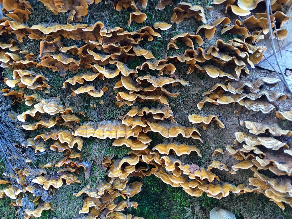 Hidden Falls waterfall